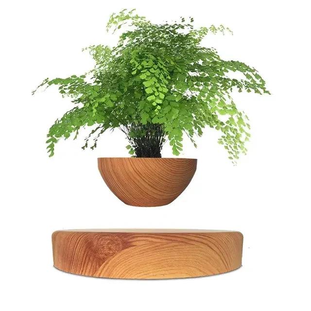 GeoSpin rotating geometric plant box Bowlift by Bowlift