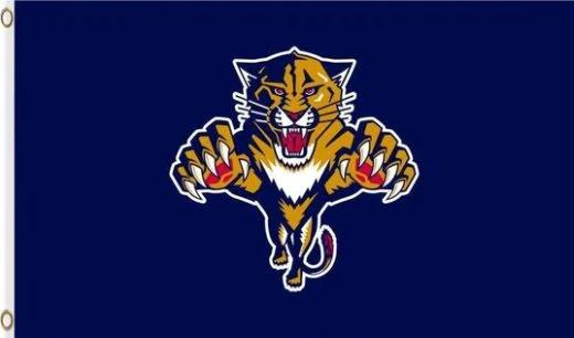 Florida Panthers Team Blue Flag 3X5Ft Polyester Digital Print Banner USA by flagsjustdoit