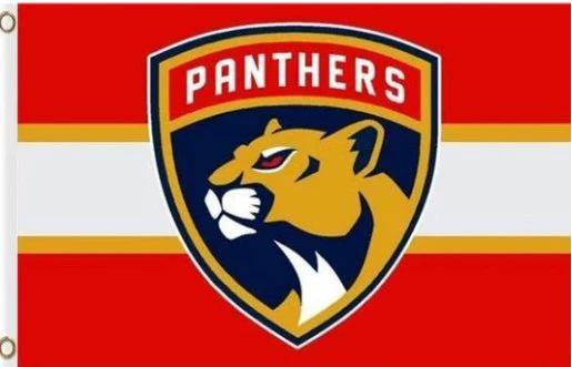 Florida Panthers Team US Flag 3X5Ft Polyester Digital Print Banner USA by flagsjustdoit