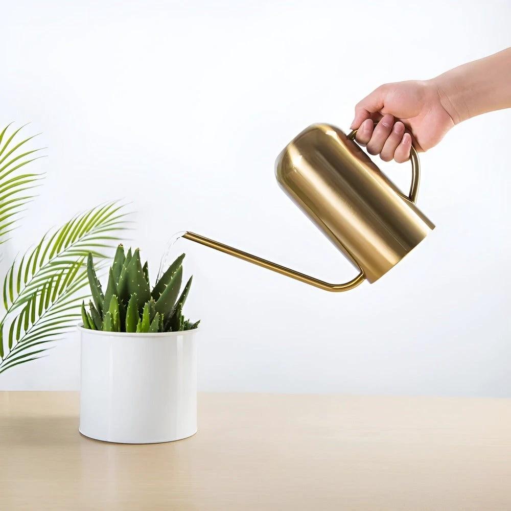 Fluora – 1.5L Stainless Steel Watering Can with Long Spout by BowLift