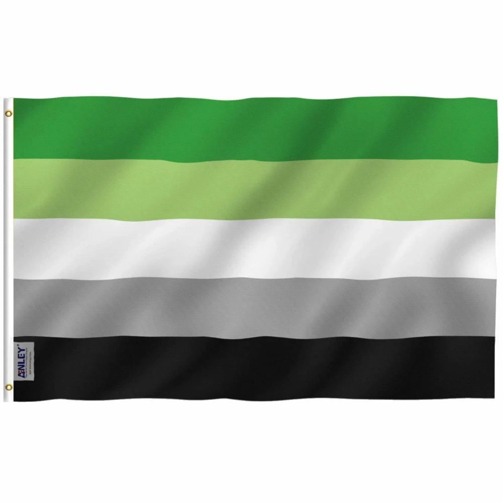Fly Breeze Aromantic Pride Flag with Brass Grommets 3X5Ft Banner USA Polyester by flagsjustdoit