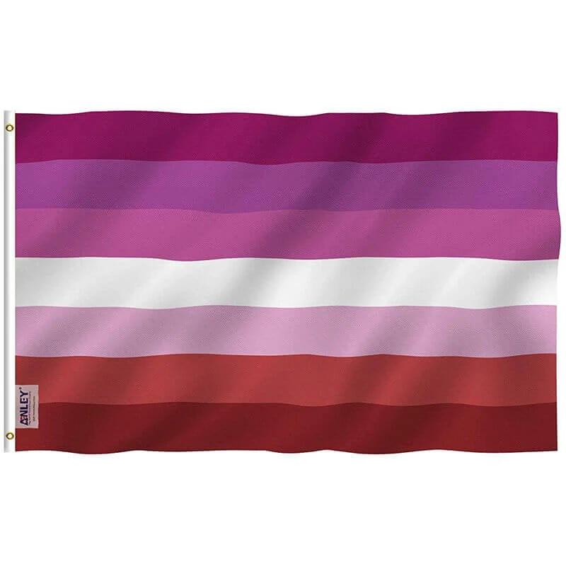 Fly Breeze Lesbian Pride Flag with Brass Grommets 3X5Ft Banner USA Polyester by flagsjustdoit