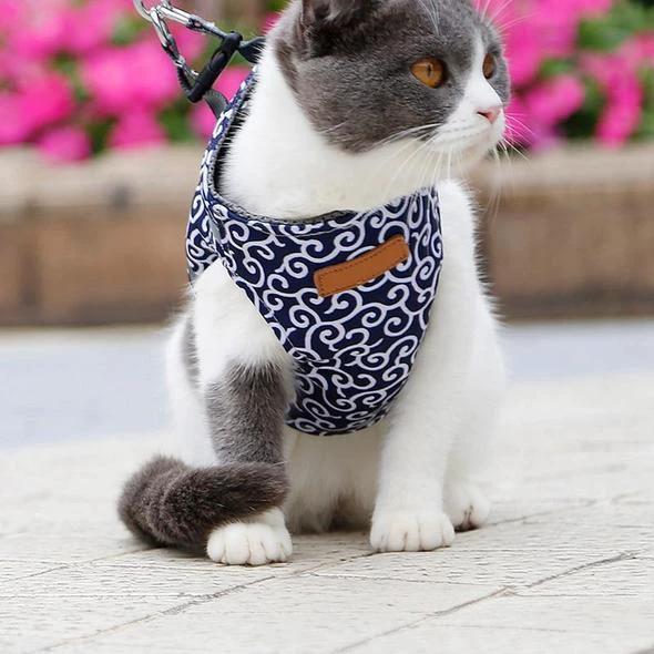 Collar jacket and leash for cat by Bowlift