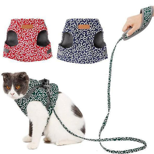 Collar jacket and leash for cat by Bowlift