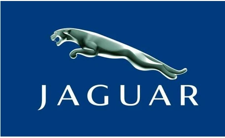 Custom Jaguar Flag-3x5 FT- horizontal banner with 4 grommets-Blue by flagsshop