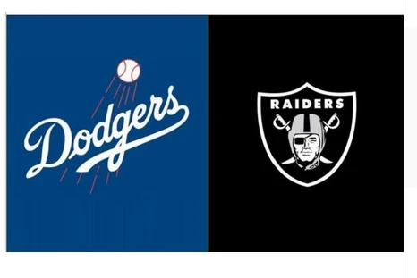 Los Angeles Dodgers Flag-3x5FT Banner-100% polyester by flagsshop