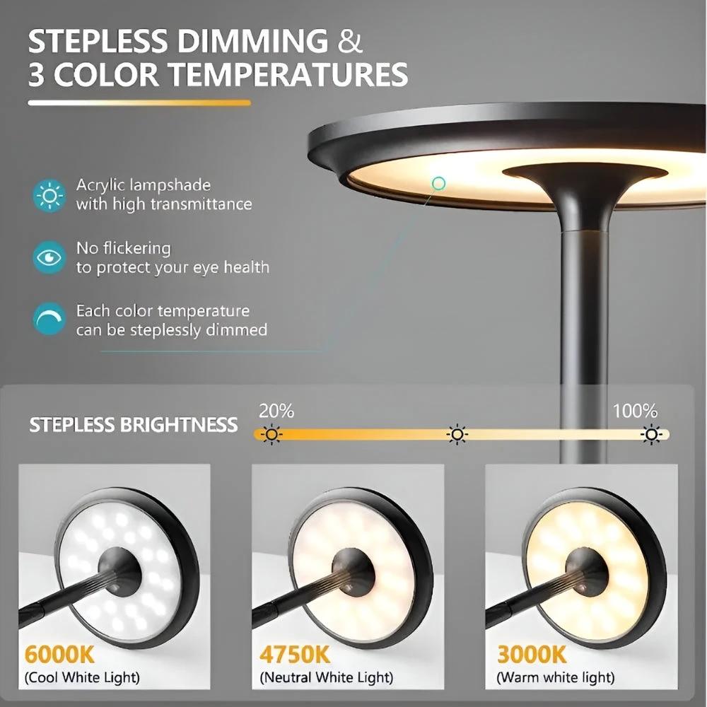 Lunox LED Rechargeable Desk Lamp by Casa & Beyond