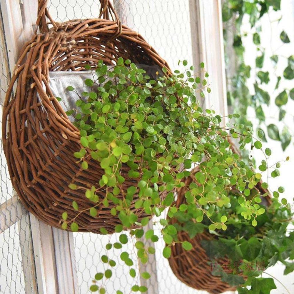 Maison Handwoven Hanging Basket by Casa & Beyond