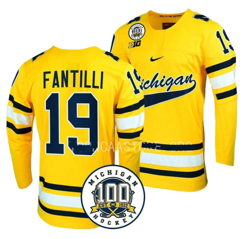 Men's Michigan Wolverines Adam Fantilli #19 Collge Hockey Stitched Gold Jersey by Hockey David