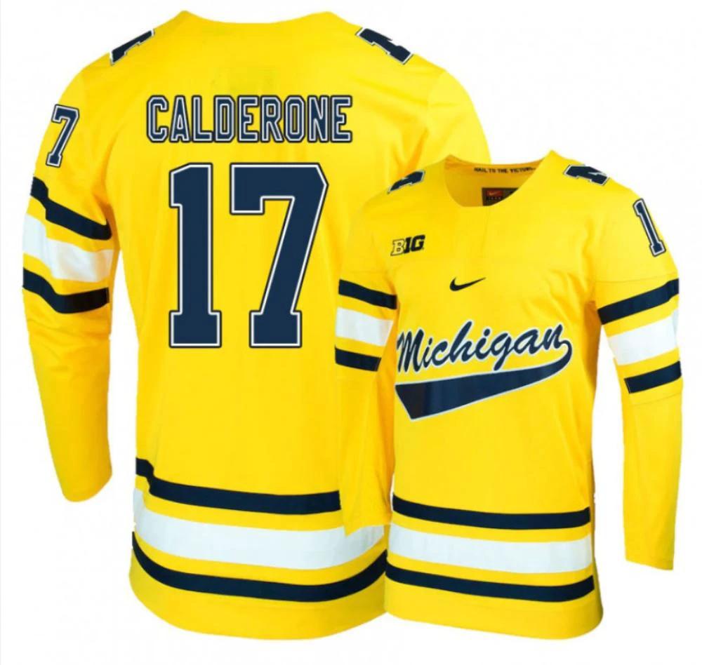 Men's Michigan Wolverines Tony Calderone #17 College Hockey Stitched Gold Jersey by Hockey David