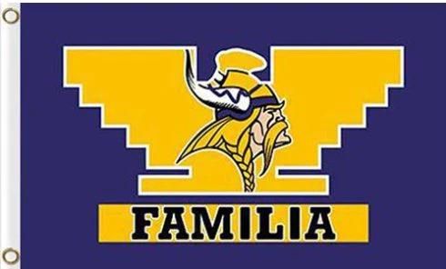 Minnesota Vikings Familia Flag 3X5 Ft Polyester Banner USA 90x150cm by flagsjustdoit