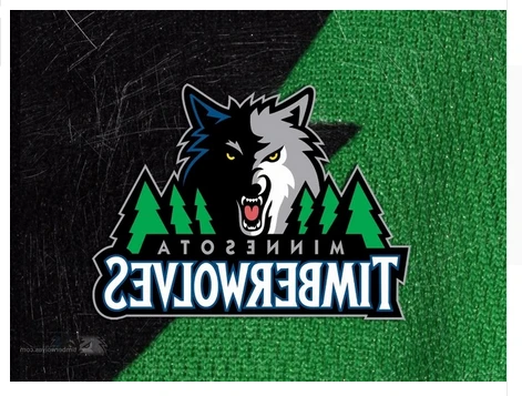Minnesota Timberwolves Flag-3x5FT Banner-100% polyester by flagsshop