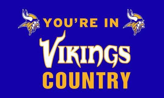 NFL Minnesota Flag Minnesota Vikings Flag hot sell goods 3X5FT 150X90CM Polyester Banner by flagsshop
