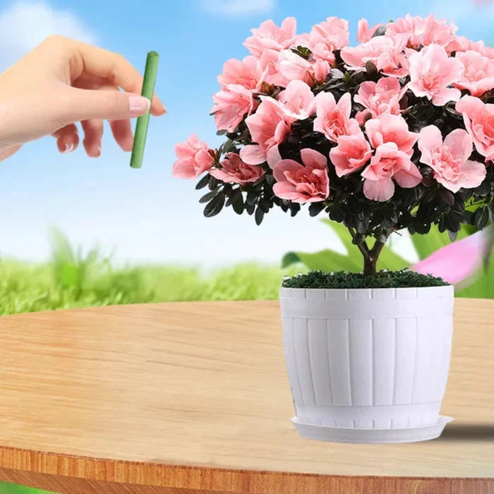 Long-lasting Fertilizer for Easy and Sustainable Plant Care Bowlift by Bowlift