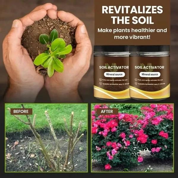Organic Soil Activator for Robust Plant Growth by BowLift
