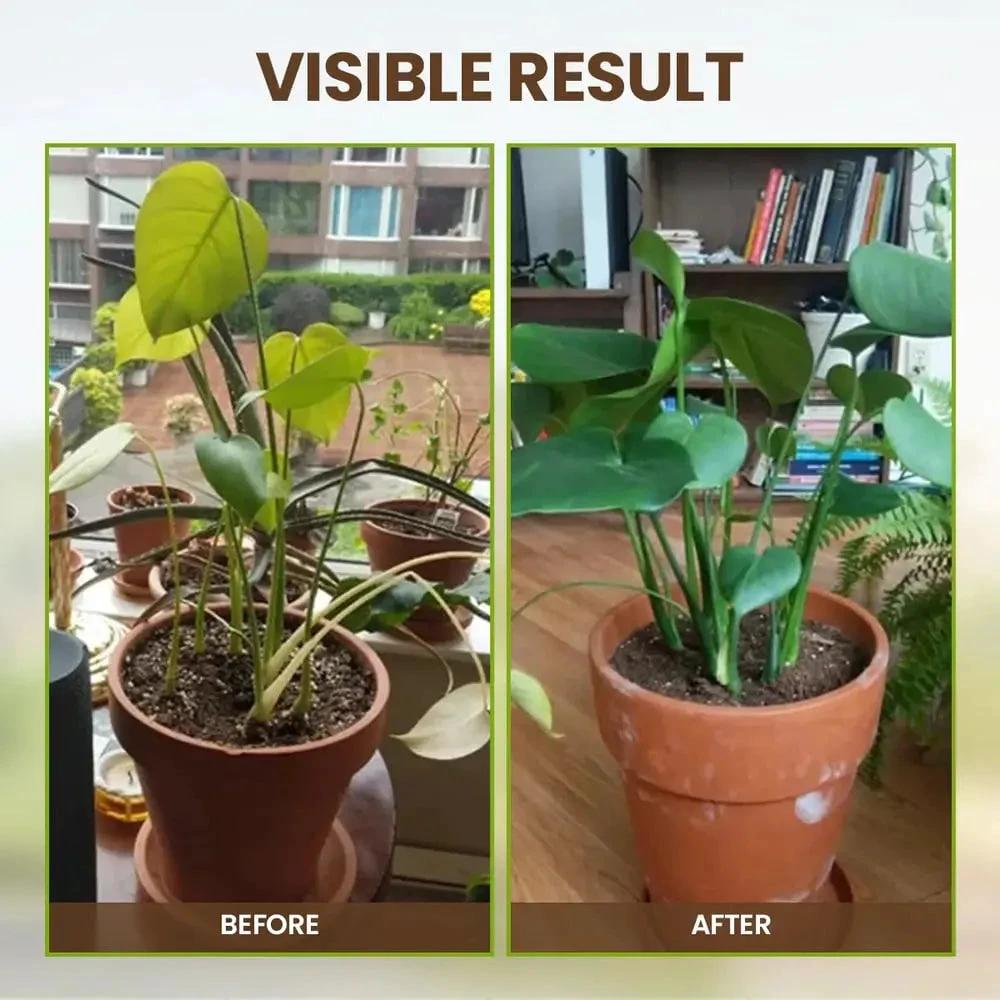 Organic Soil Activator for Robust Plant Growth by BowLift