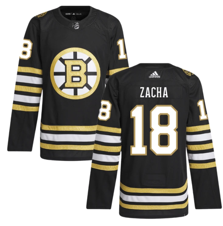 Pavel Zacha 18 Boston Bruins 100th Anniversary Primegreen Home Men Jersey Black by Hockey David