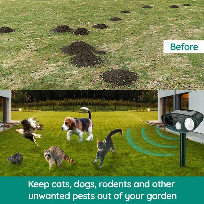 Raccoon Outdoor Ultrasonic Repeller - Solar-powered Ultrasonic Animal and Pest Control - Get rid of raccoons within 48 hours by BowLift