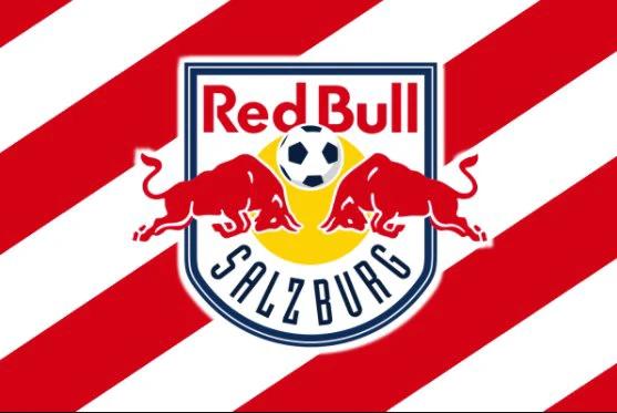 Red Bull Salzburg Flag 3X5 Ft Polyester Banner USA 90x150cm RedBull by flagsjustdoit