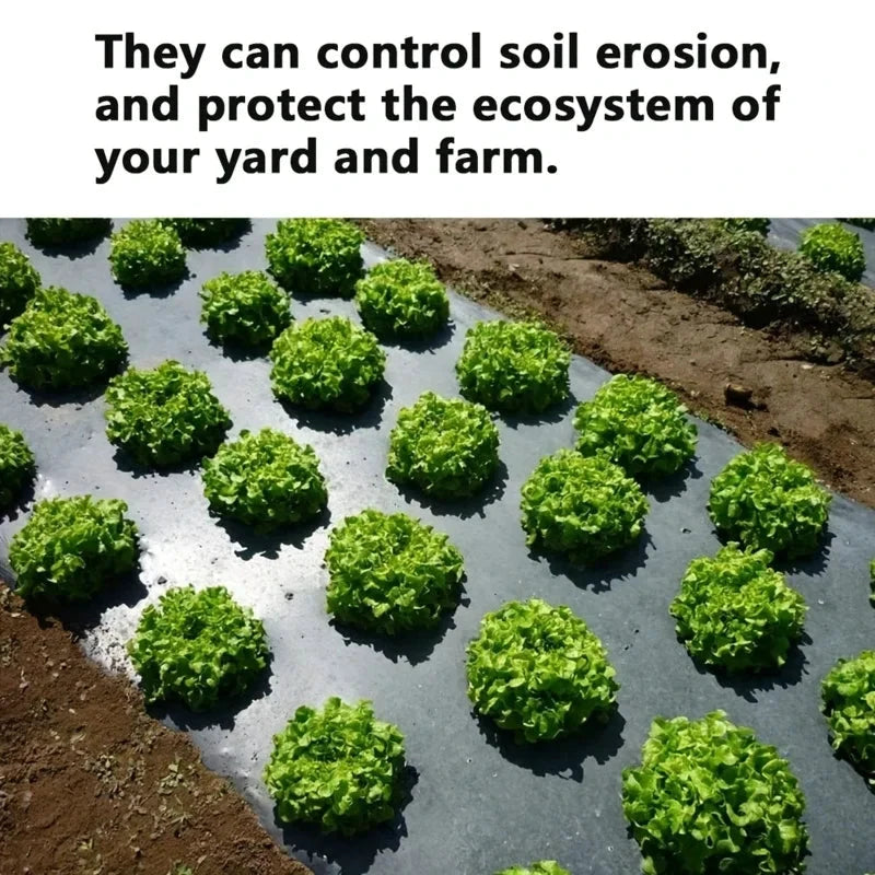 AgroShield Weed Fabric | Black Mulch Film | Plant Protection & Yield Increase | Ideal for Greenhouses by BowLift