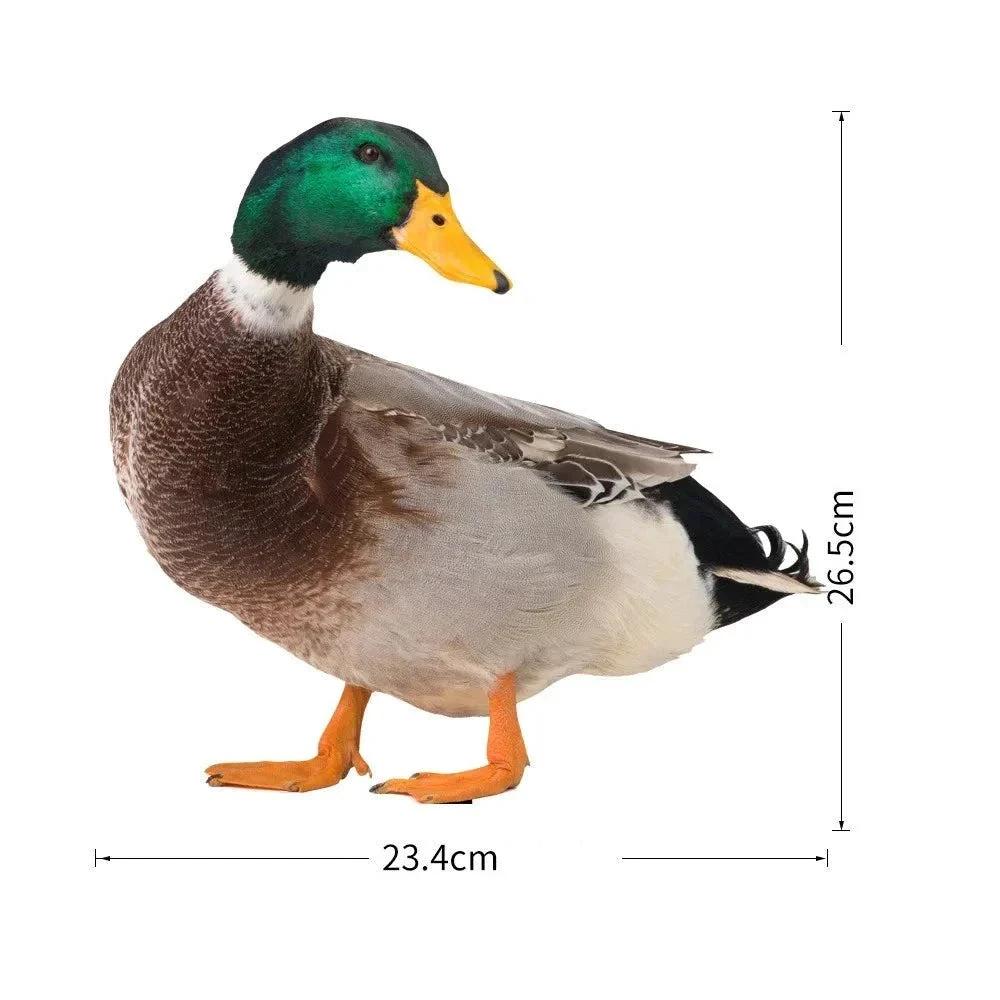 DuoDuck Realistic Double-Sided Gray Feather Sculpture Bowlift by Bowlift