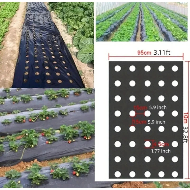AgroShield Weed Fabric | Black Mulch Film | Plant Protection & Yield Increase | Ideal for Greenhouses by BowLift