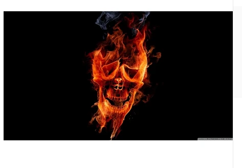 Skull Flag-3x5FT Banner-100% polyester by flagsshop