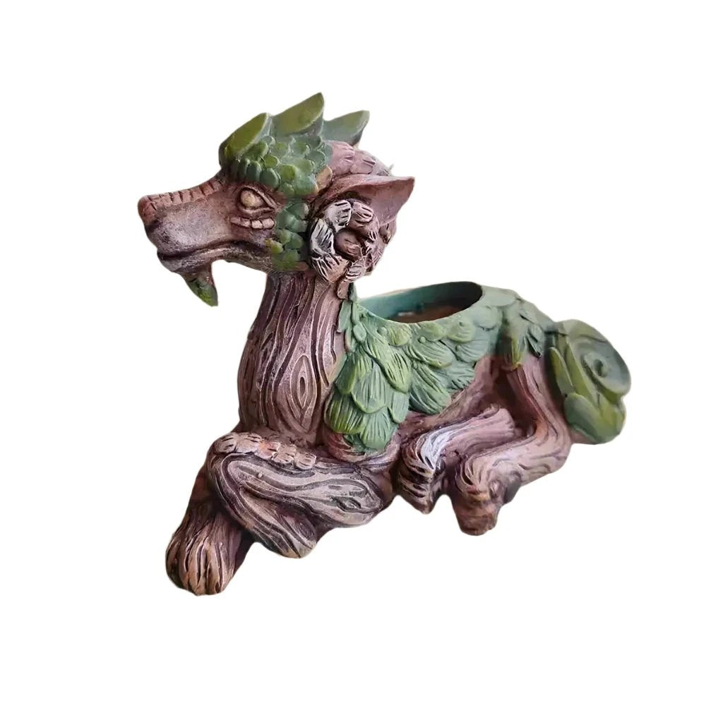 WhimsiDragon Succulent Plant Box with Playful Fantasy Design Bowlift by Bowlift