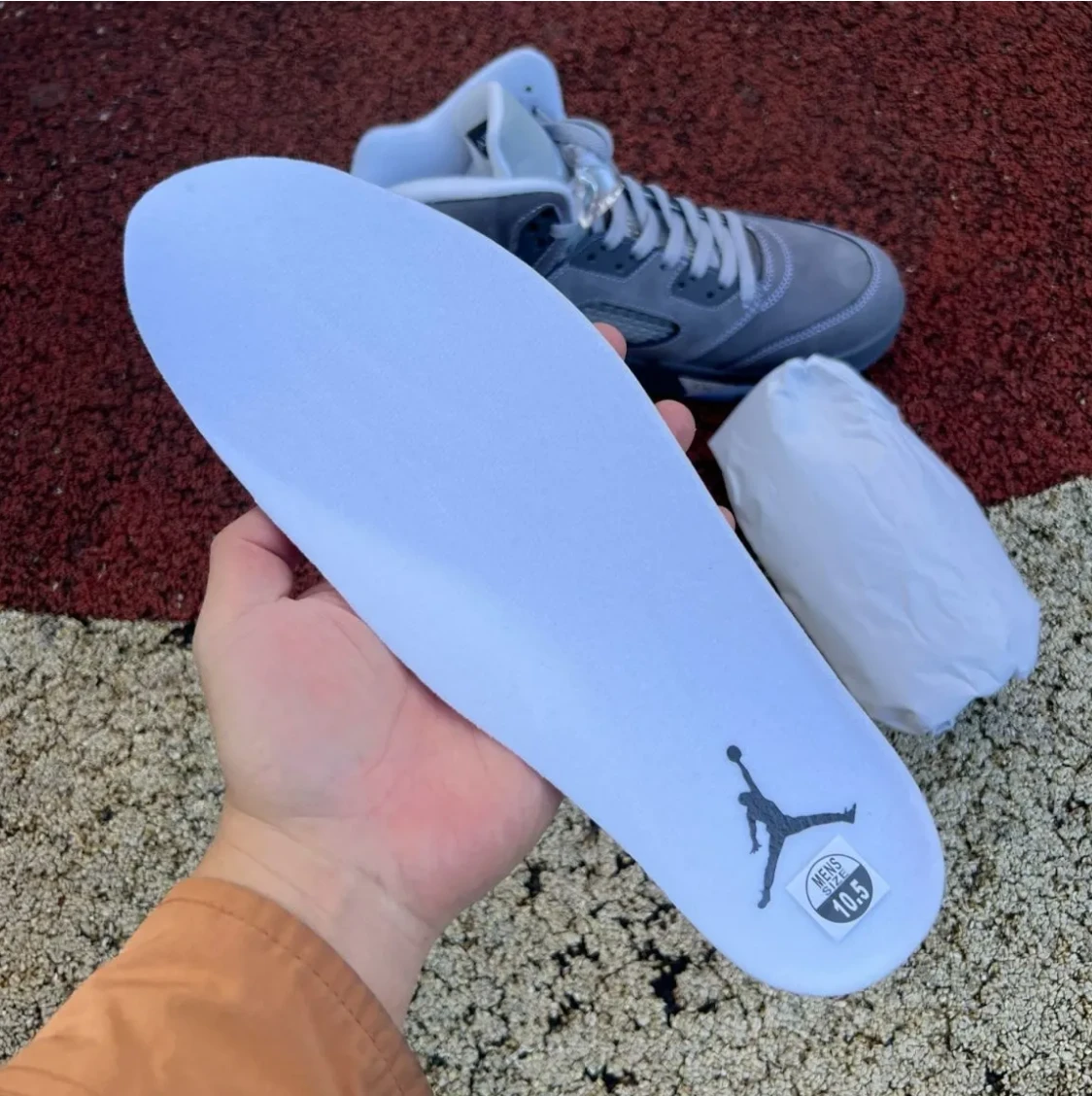 Air Jordan 5 Wolf Grey (2026) Shoes Sneakers by Air Jordan