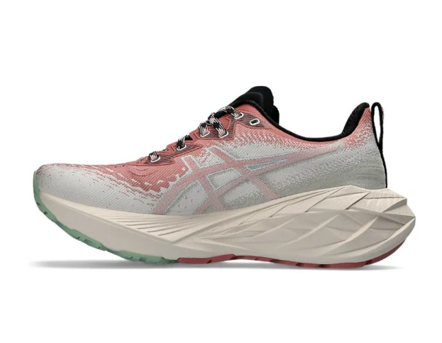 Asics Novablast 4 TR Nature Bathing-Rose Rouge 1012B654-250 by Air Jordan