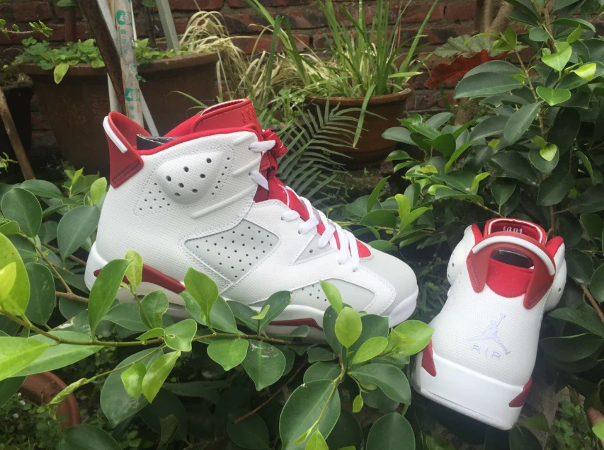 Air Jordan 6 Retro 'Alternate Hare' by Air Jordan