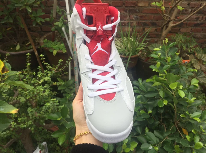 Air Jordan 6 Retro 'Alternate Hare' by Air Jordan