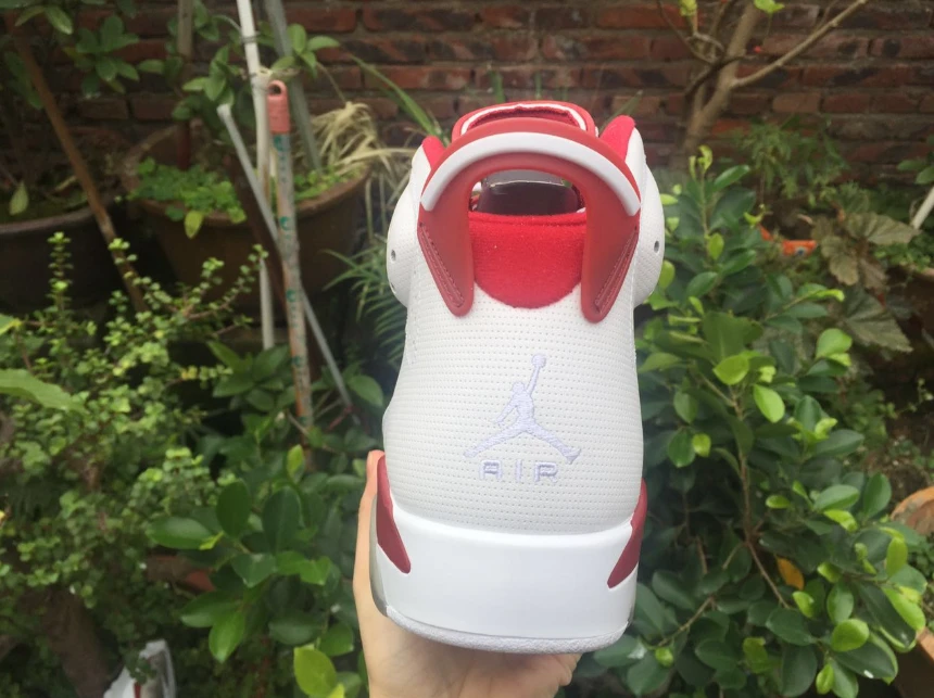 Air Jordan 6 Retro 'Alternate Hare' by Air Jordan