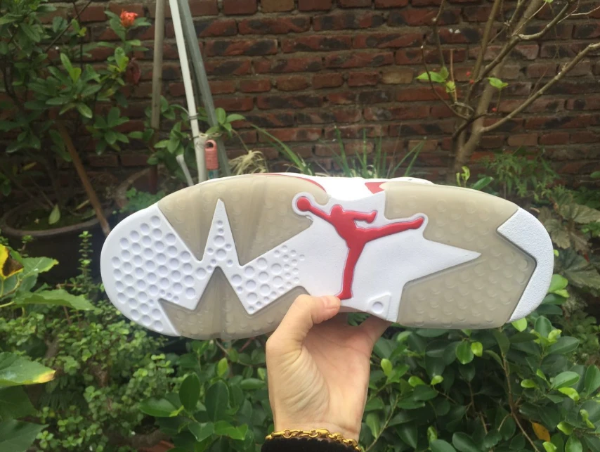 Air Jordan 6 Retro 'Alternate Hare' by Air Jordan