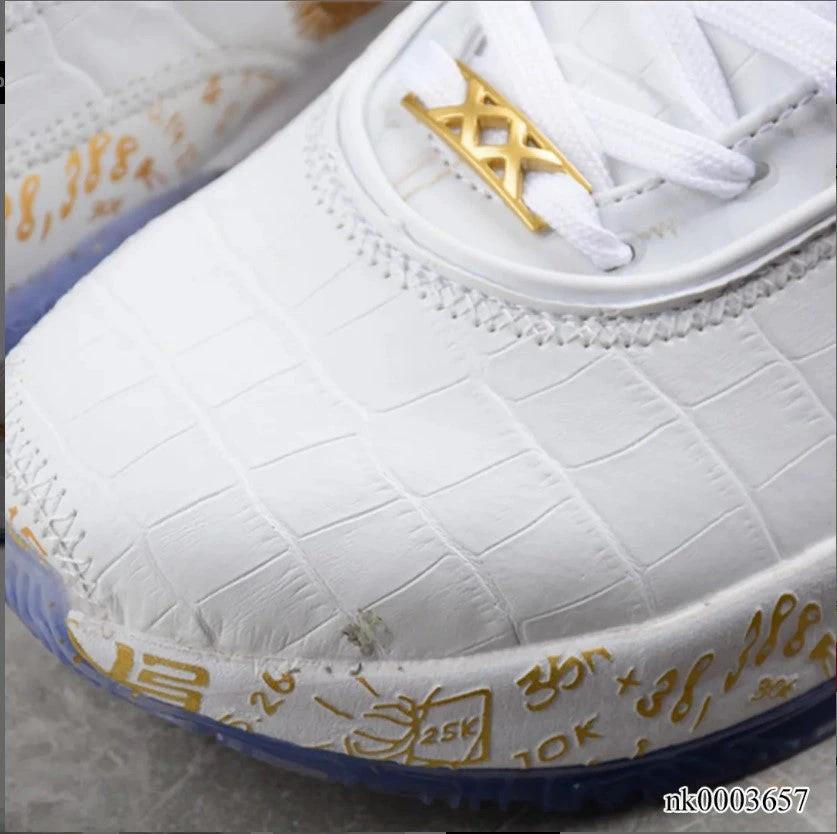 Lebron 20 EP The Moment Shoes Sneakers by Air Jordan