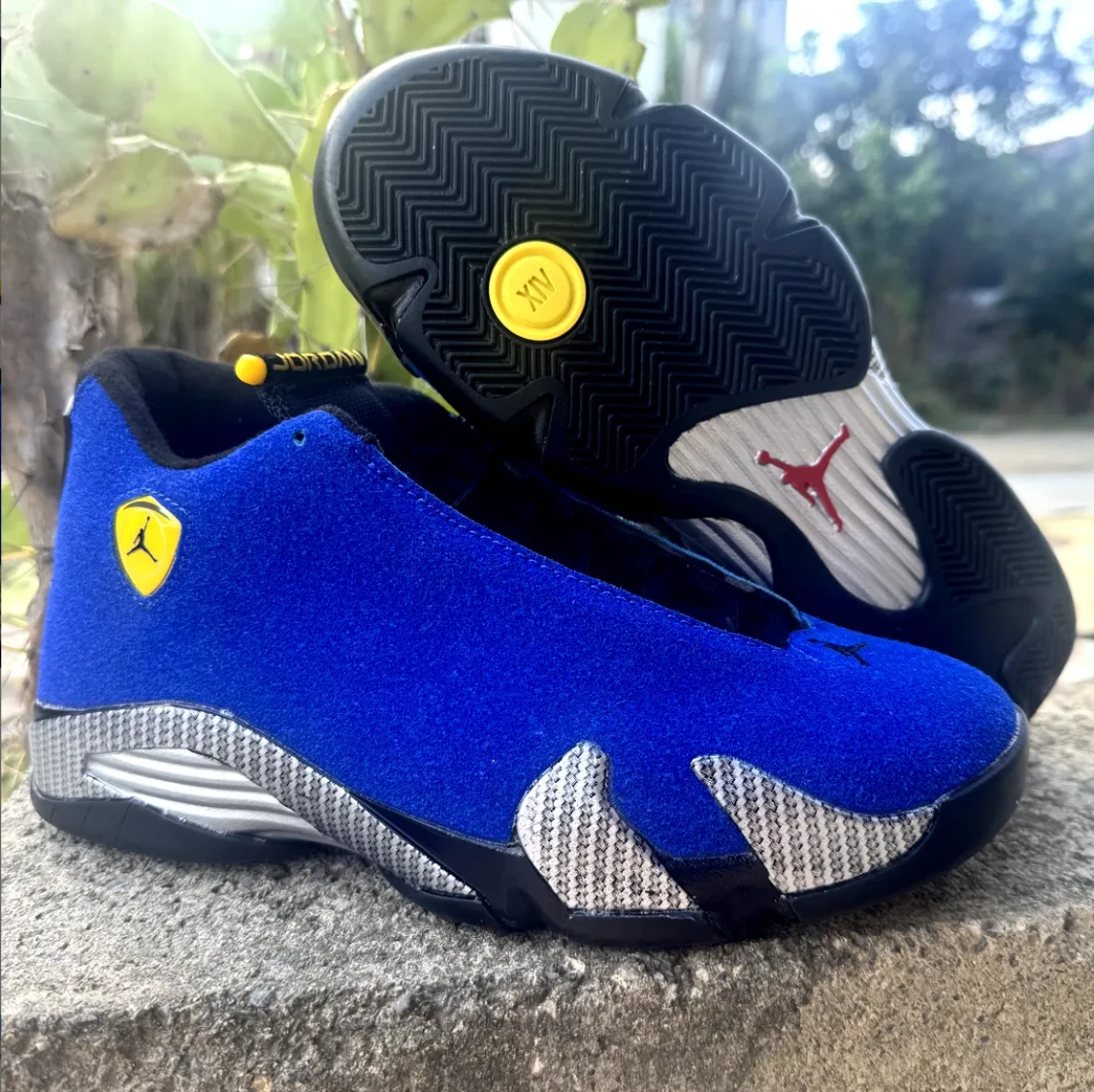Air Jordan 14 Ferrari Blue Shoes Sneakers by Air Jordan