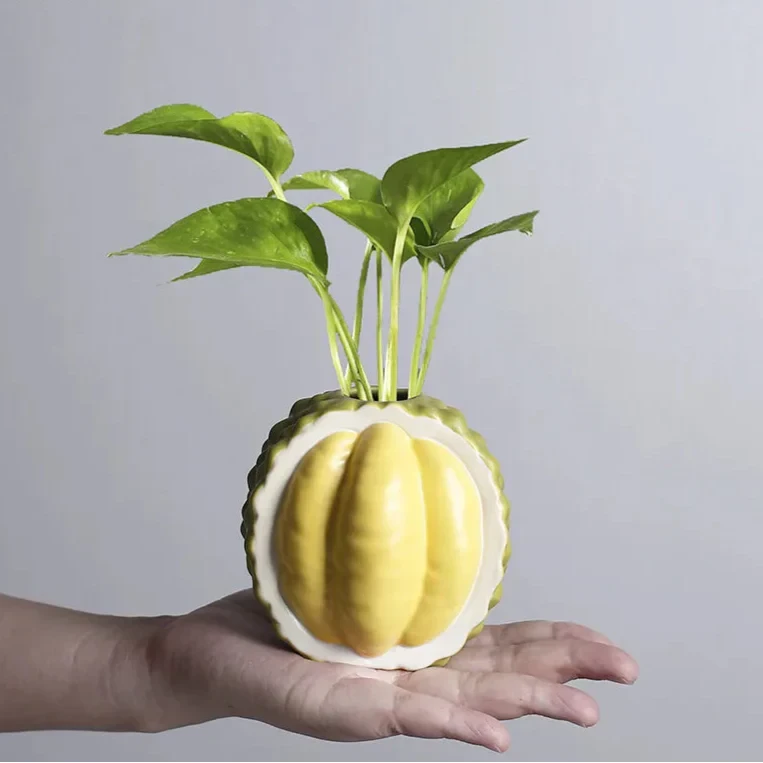 Durian-Shaped Ceramic Vase by Bowlift
