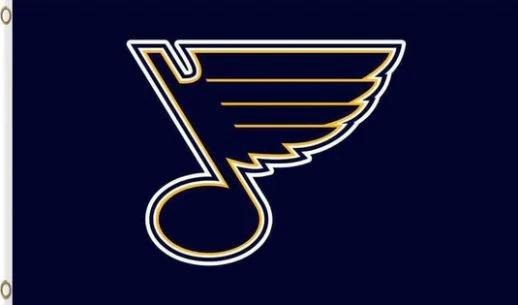St. Louis Blues Team Flag 3X5Ft Polyester Digital Print Banner USA by flagsjustdoit