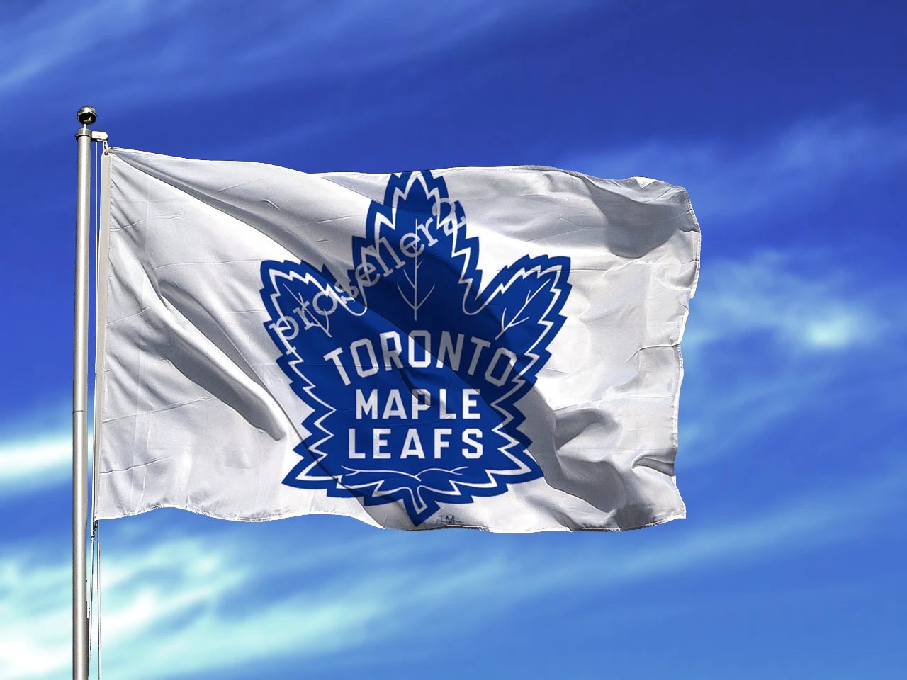 Toronto Maple Leafs Stanley Cup Champions Flag 3x5ft by flagsjustdoit