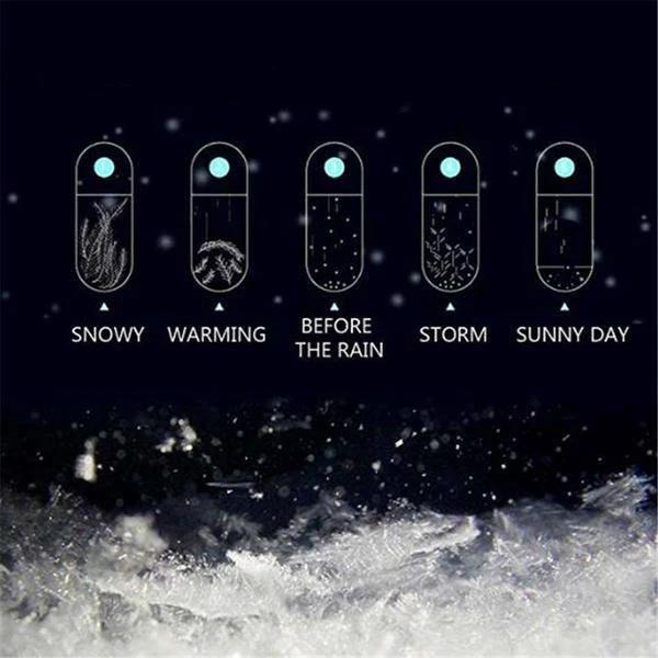 Storm Glass Weather Predicting Forecast Bottle Crystal Desktop Barometer with Wooden Base by BowLift