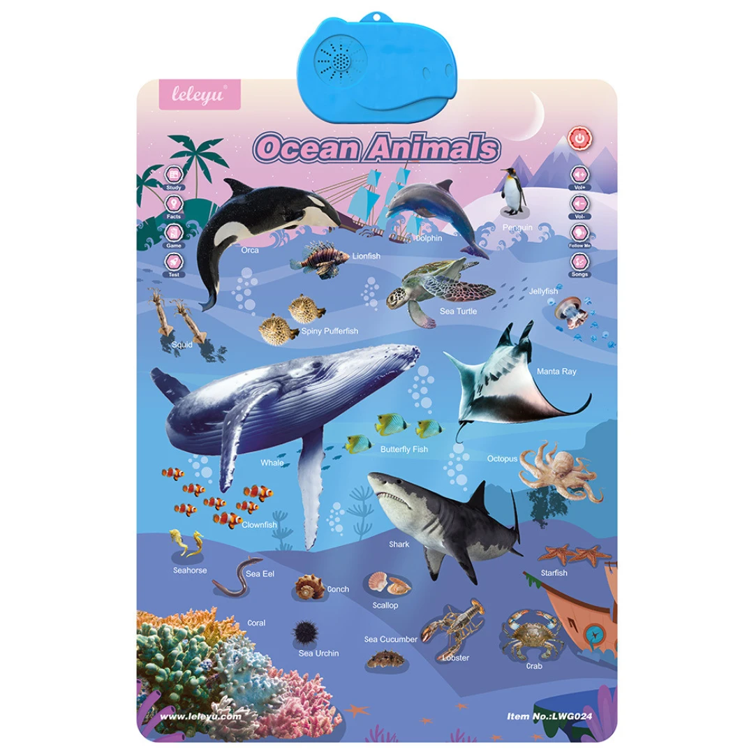 Talking English learning board for children by BowLift