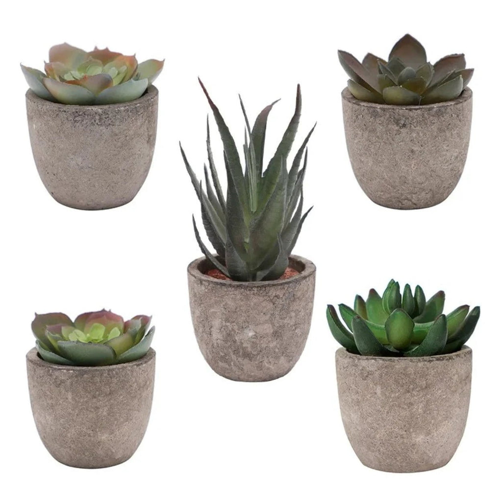 Verdea Artificial Succulent Plant Decor by Casa & Beyond