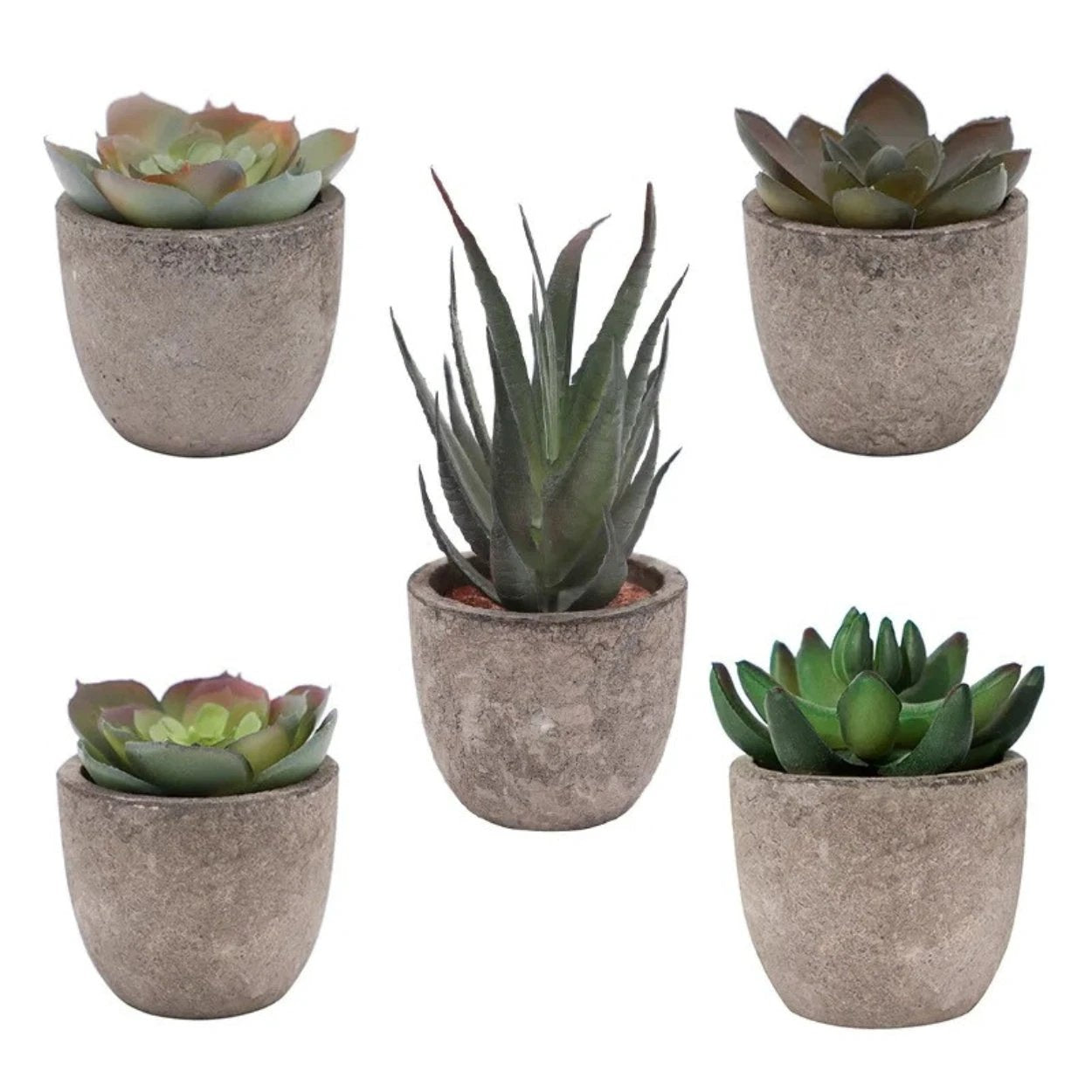 Verdea Artificial Succulent Plant Decor by Casa & Beyond