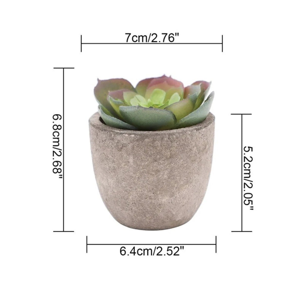 Verdea Artificial Succulent Plant Decor by Casa & Beyond