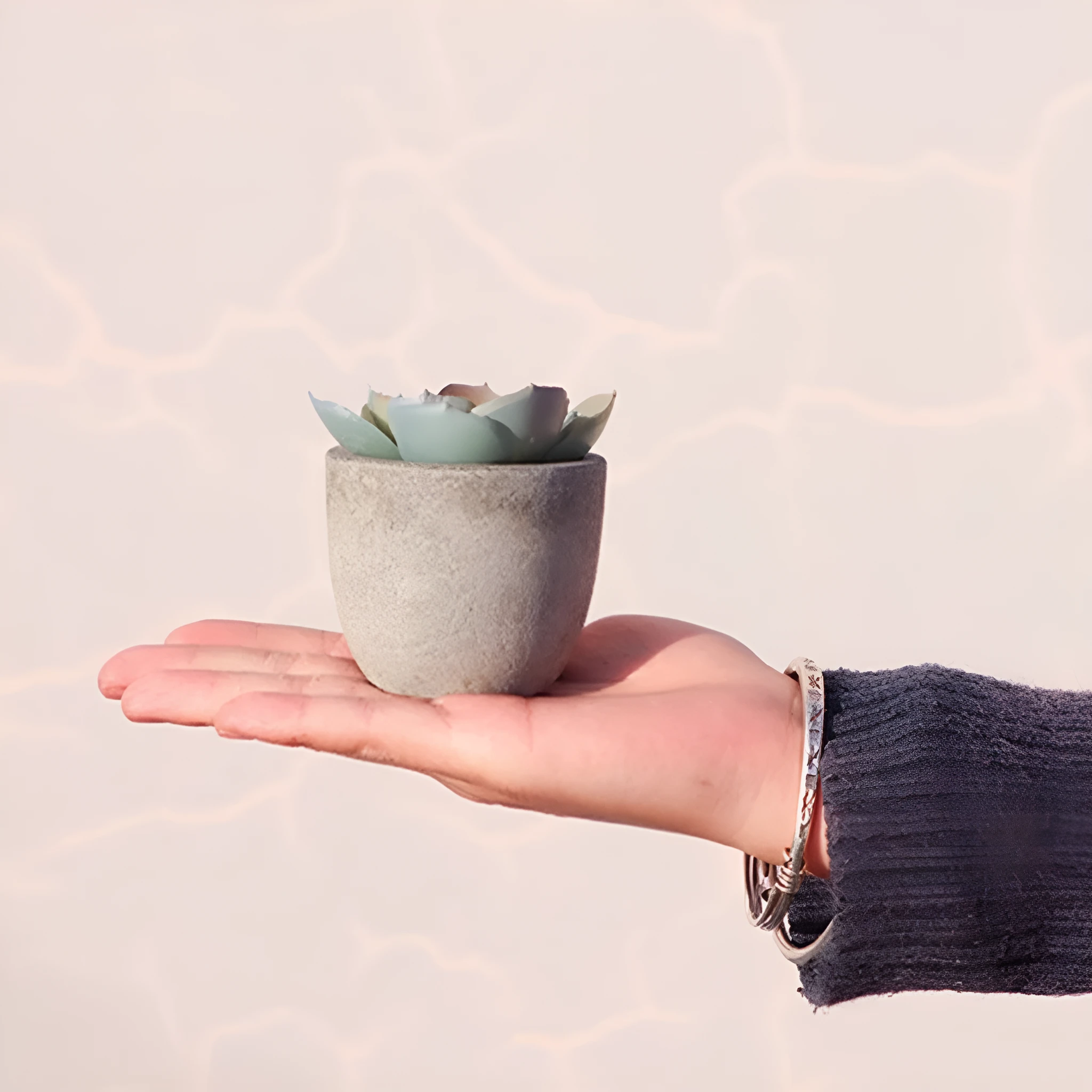 Verdea Artificial Succulent Plant Decor by Casa & Beyond