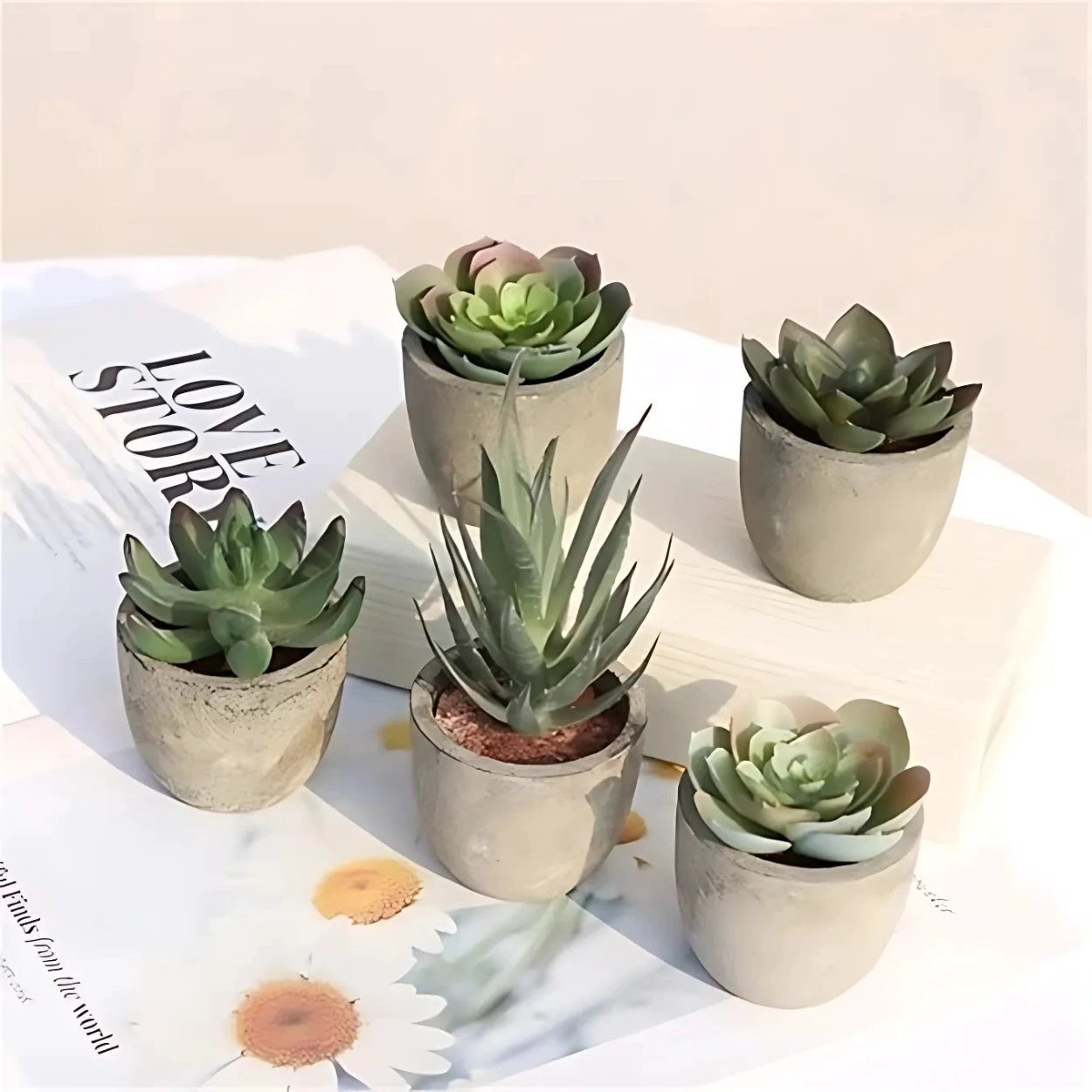 Verdea Artificial Succulent Plant Decor by Casa & Beyond