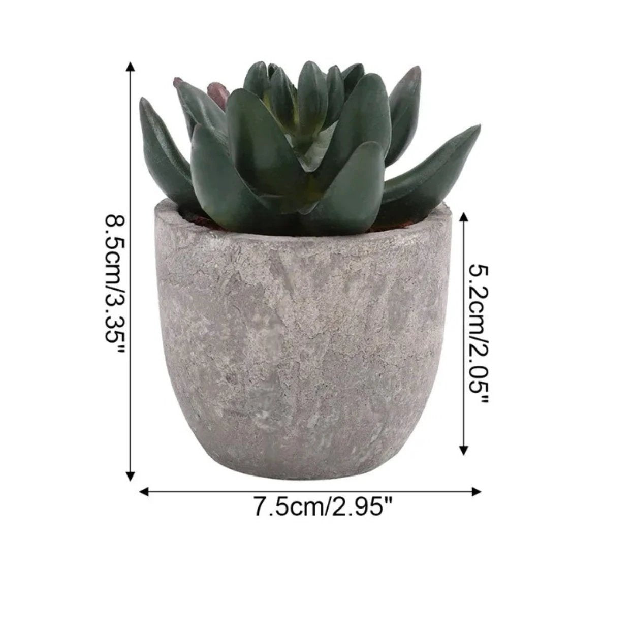 Verdea Artificial Succulent Plant Decor by Casa & Beyond
