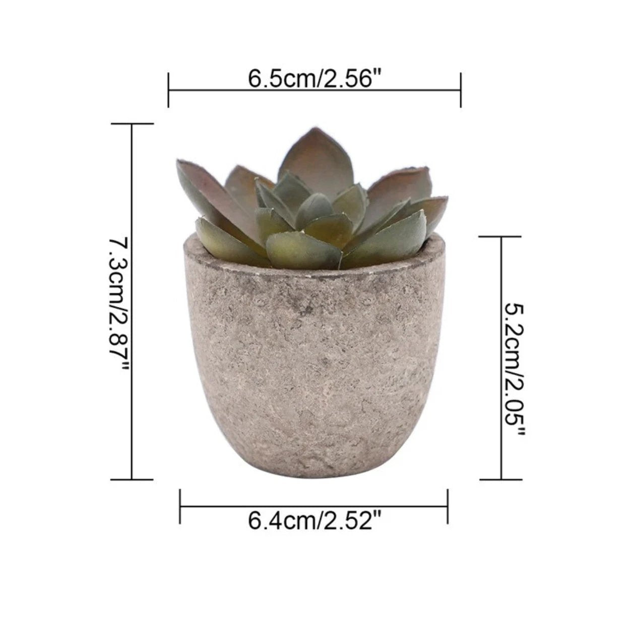 Verdea Artificial Succulent Plant Decor by Casa & Beyond