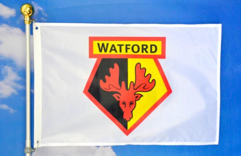 Watford F.C. Football Club Flag 3x5ft Banner Polyester White by flagsjustdoit