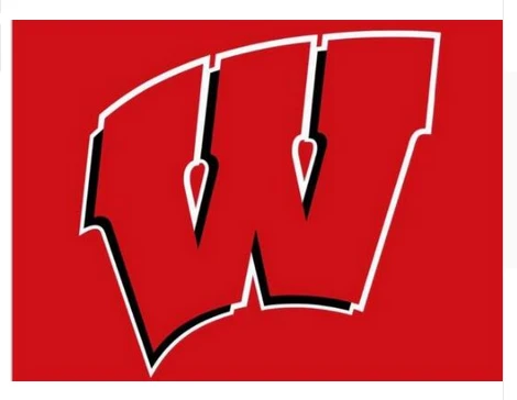 Wisconsin Badgers Flag NCAA University of Wisconsin Flag 3X5FT polyester Banner by flagsshop